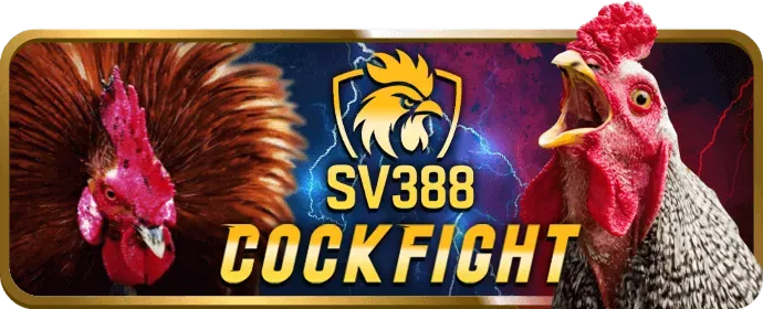 Đá gà trực tiếp AV88